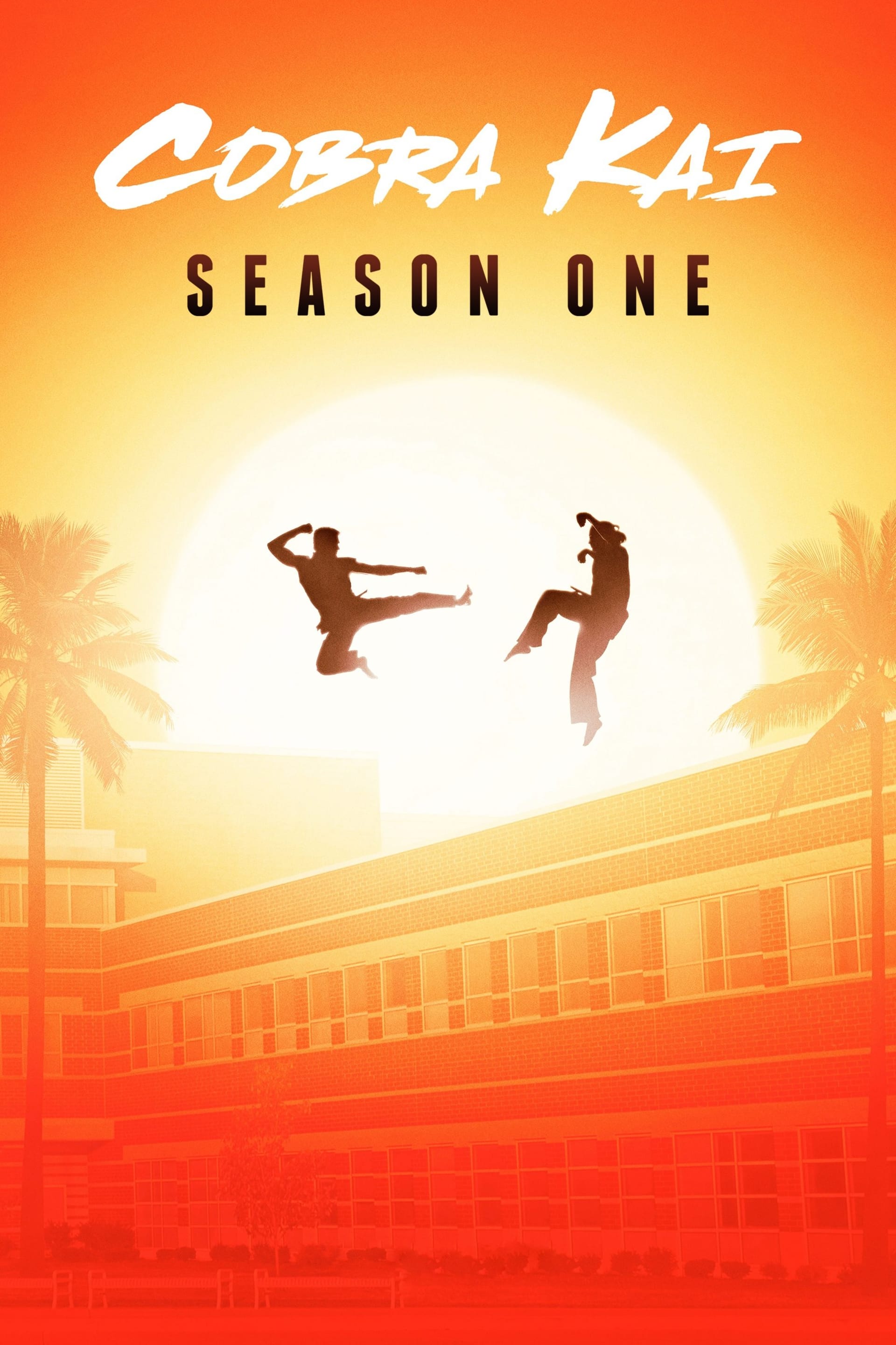 Cobra Kai (2018) Season One ★★★★☆