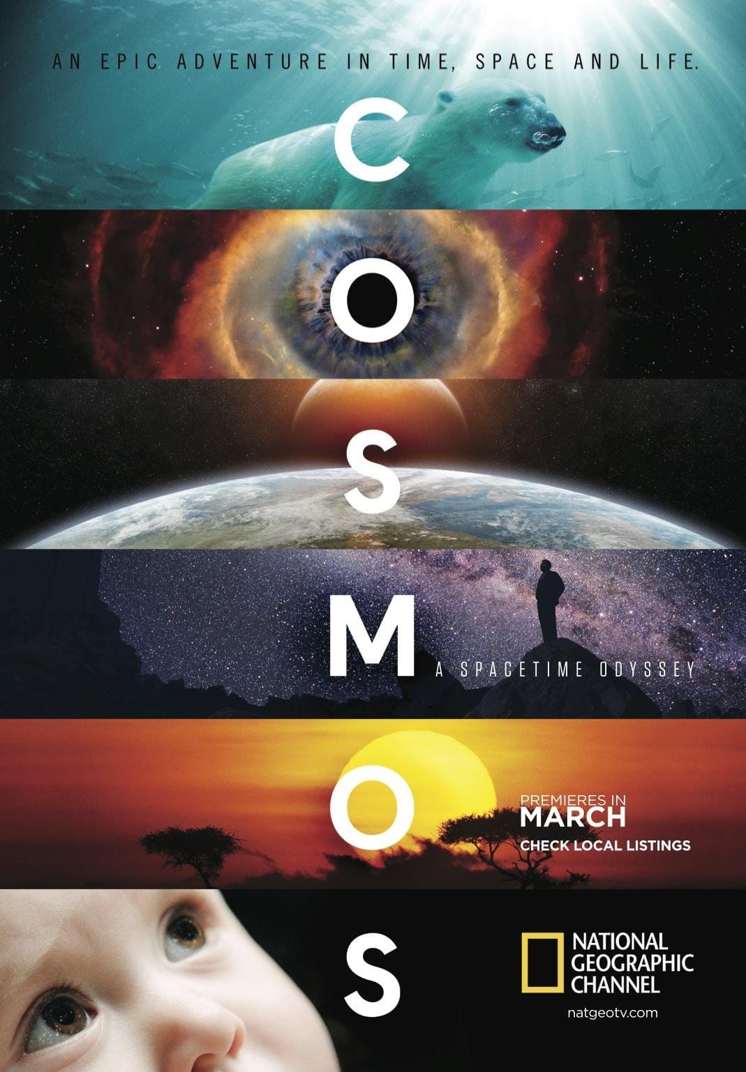 Cosmos (2014) Season One ★★★★★