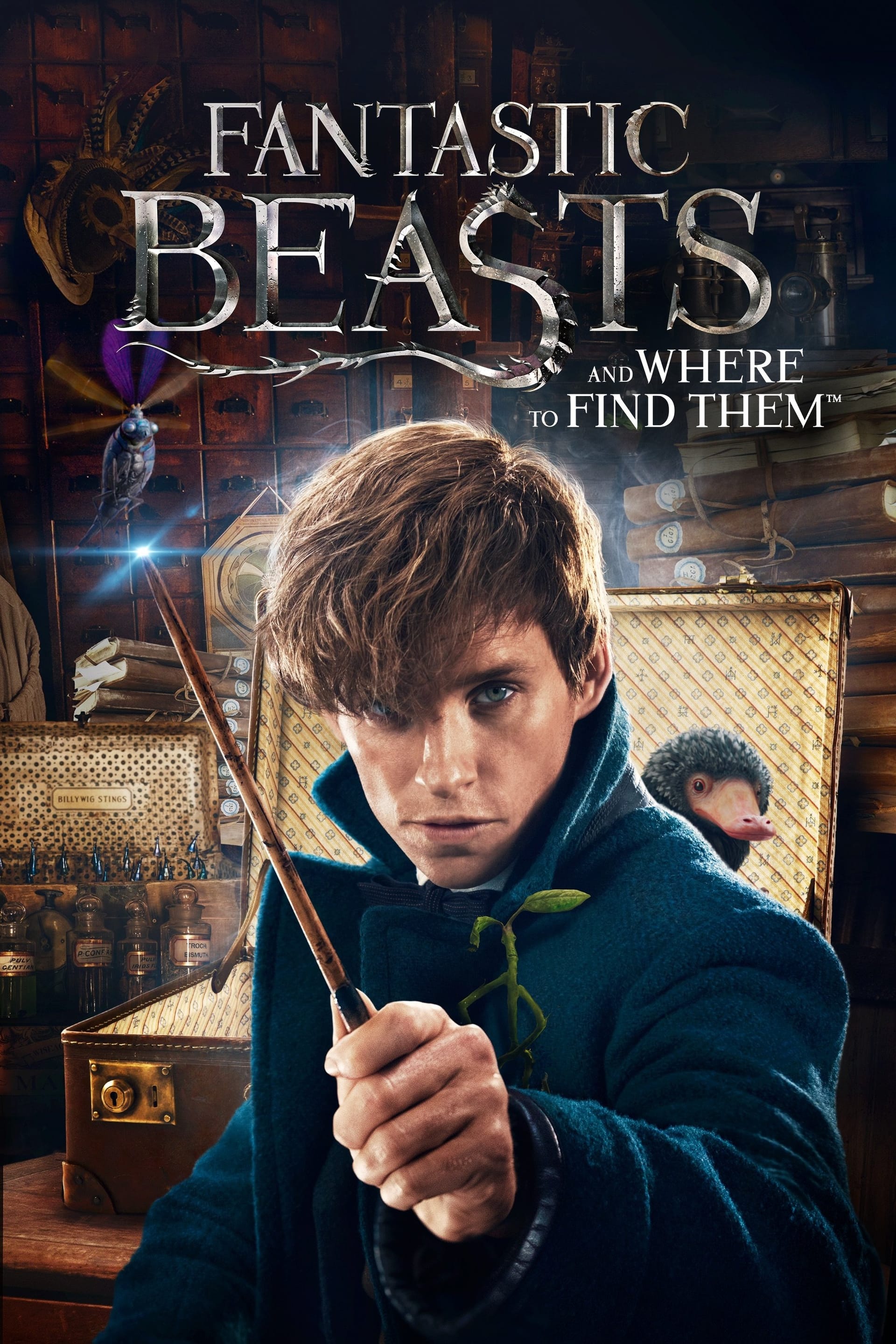 Fantastic Beasts and Where to Find Them, 2016 ★★★★☆