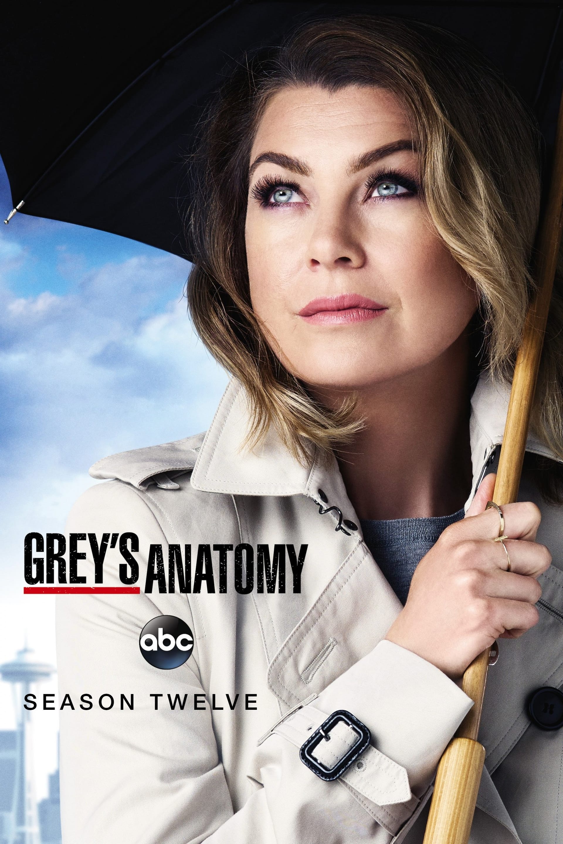 Grey's Anatomy (2015) Season Twelve ★★★☆☆