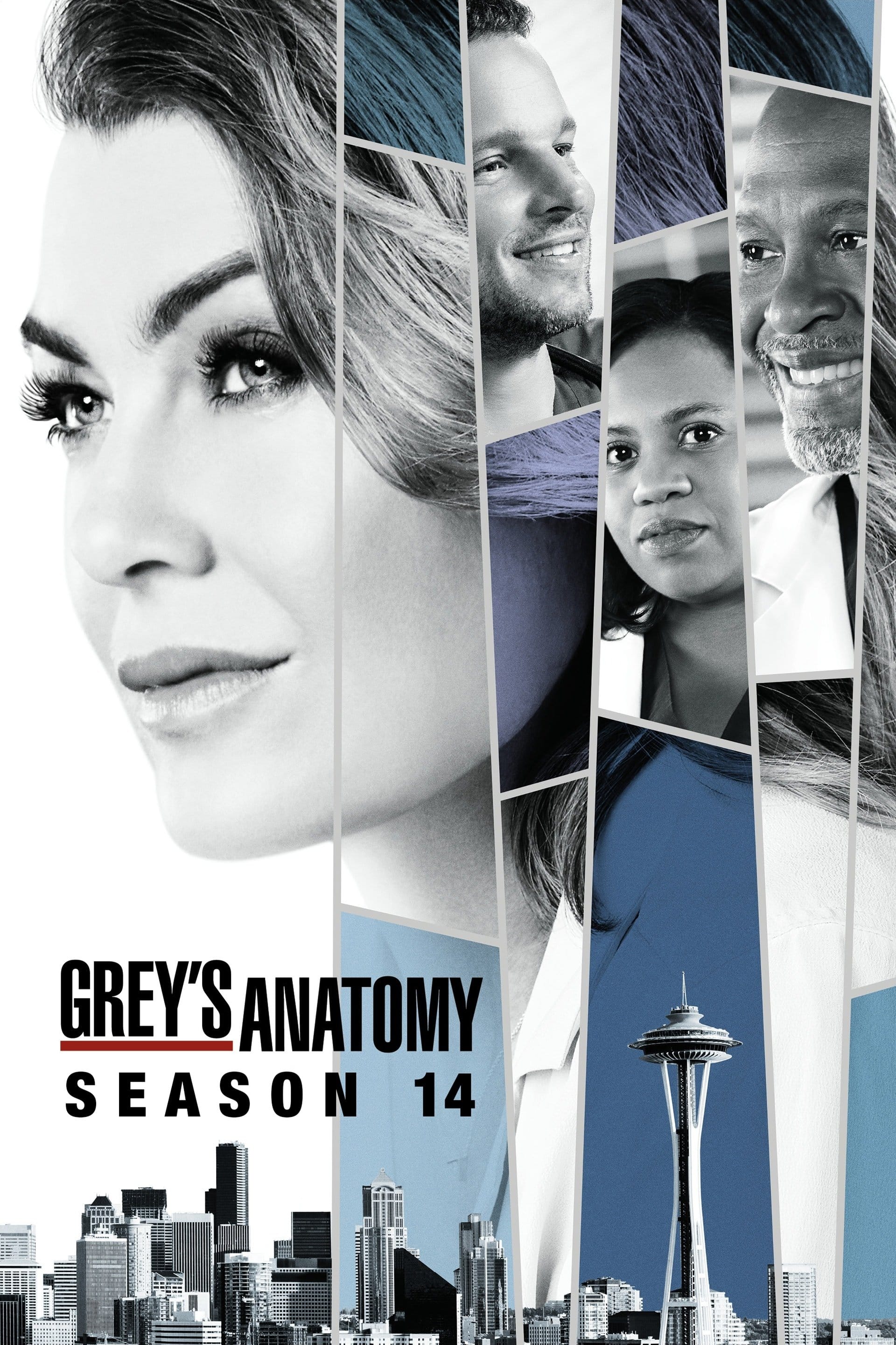 Grey's Anatomy (2017) Season Fourteen ★★★☆☆