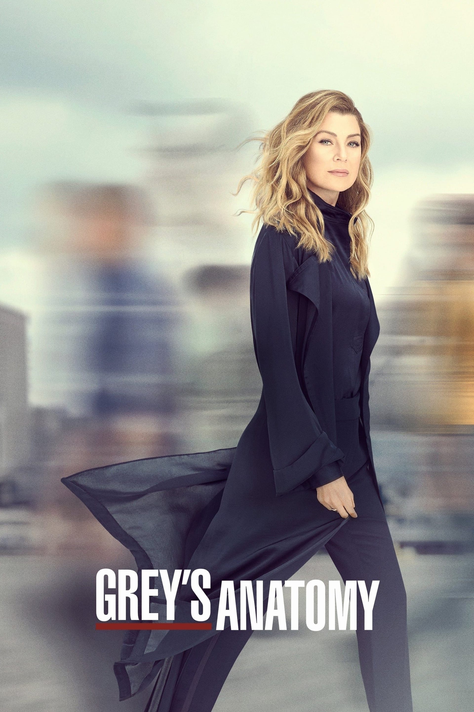 Grey's Anatomy (2019) Season Sixteen ★★★☆☆