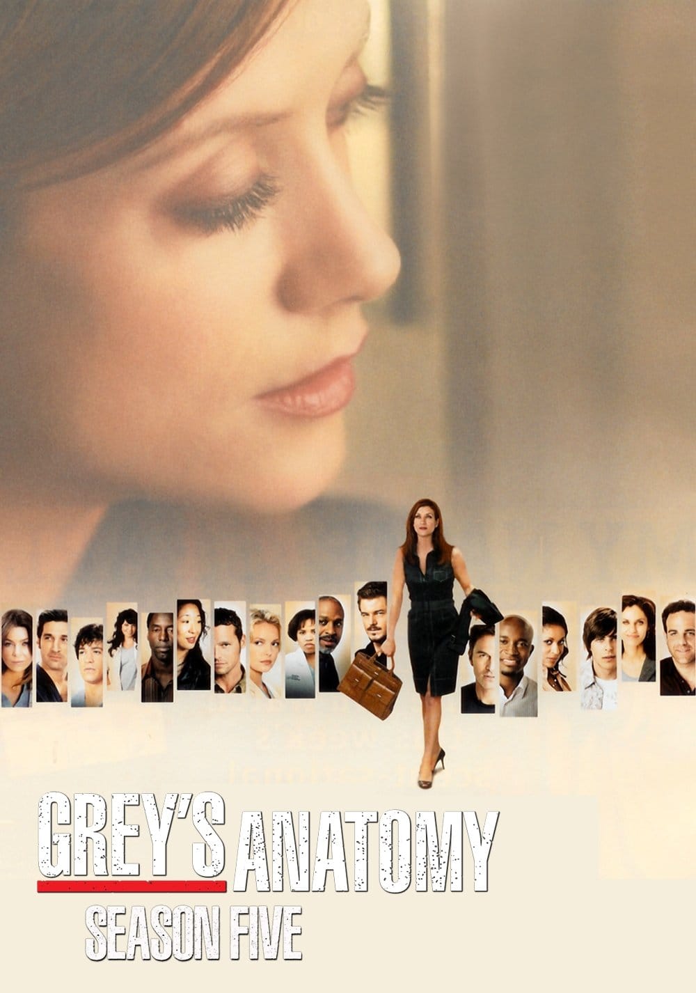 Grey's Anatomy (2008) Season Five ★★★★☆