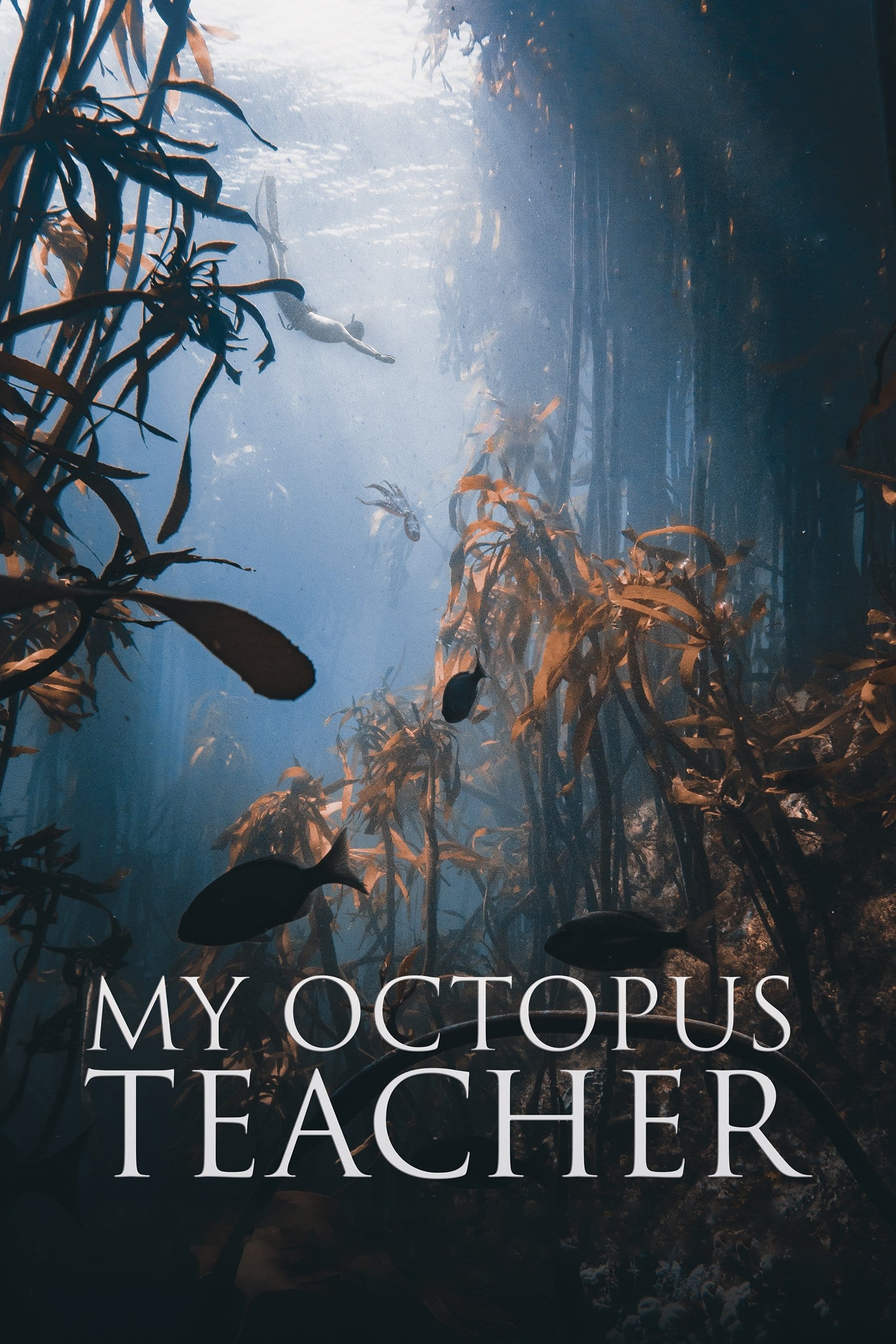 My Octopus Teacher, 2020 ★★★★☆