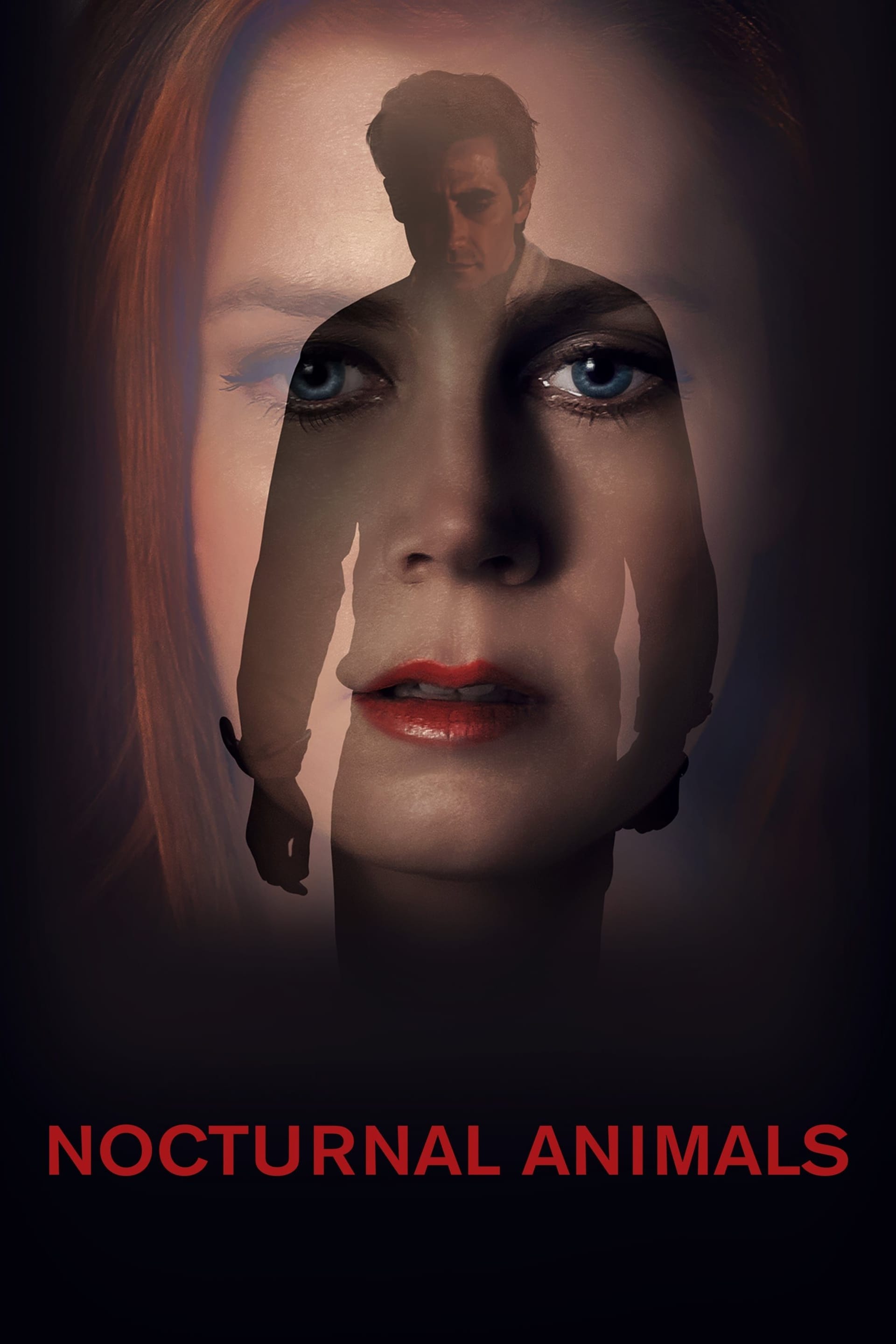 Nocturnal Animals, 2016 ★★★☆☆