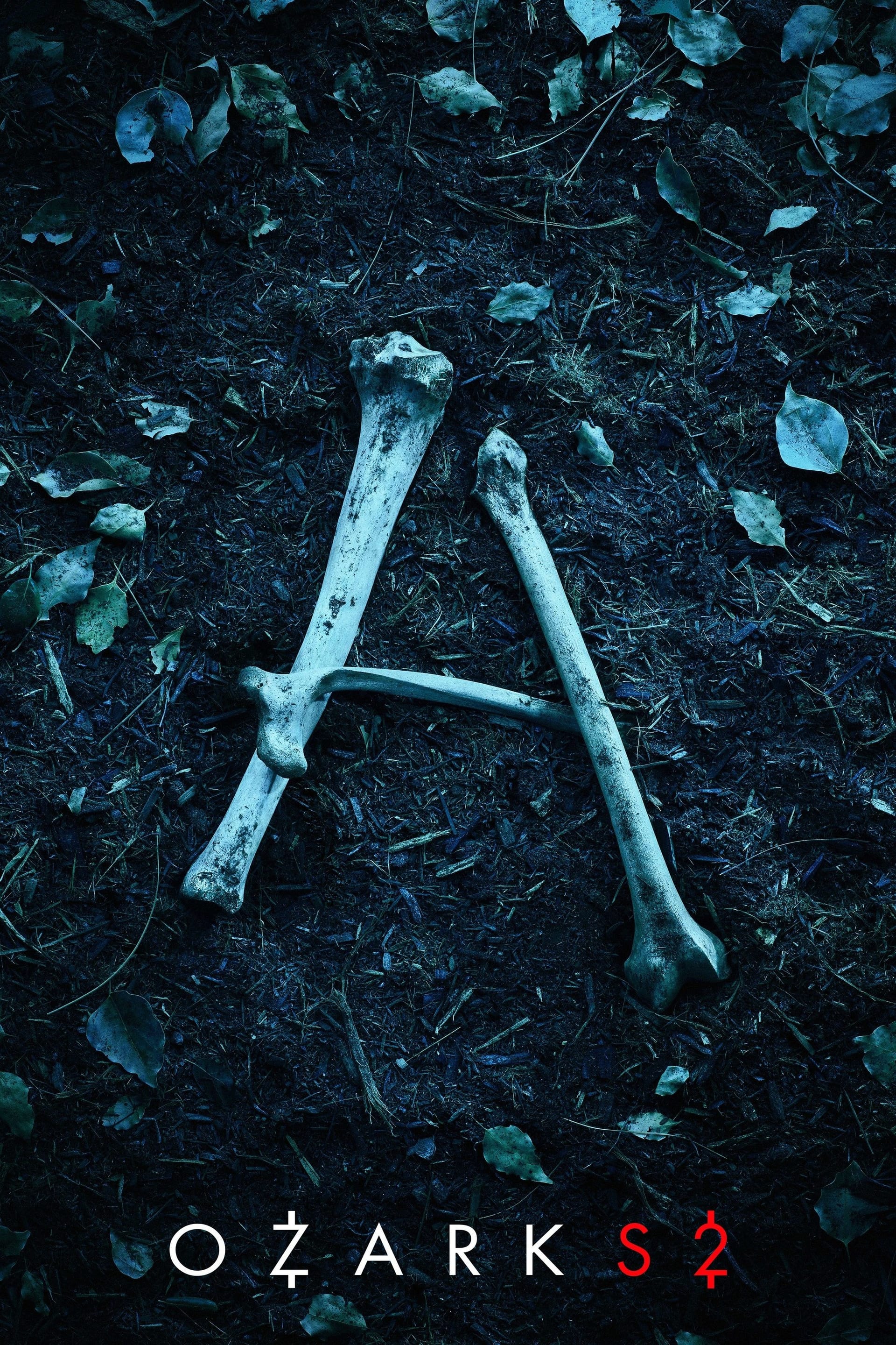 Ozark (2018) Season Two ★★★★★