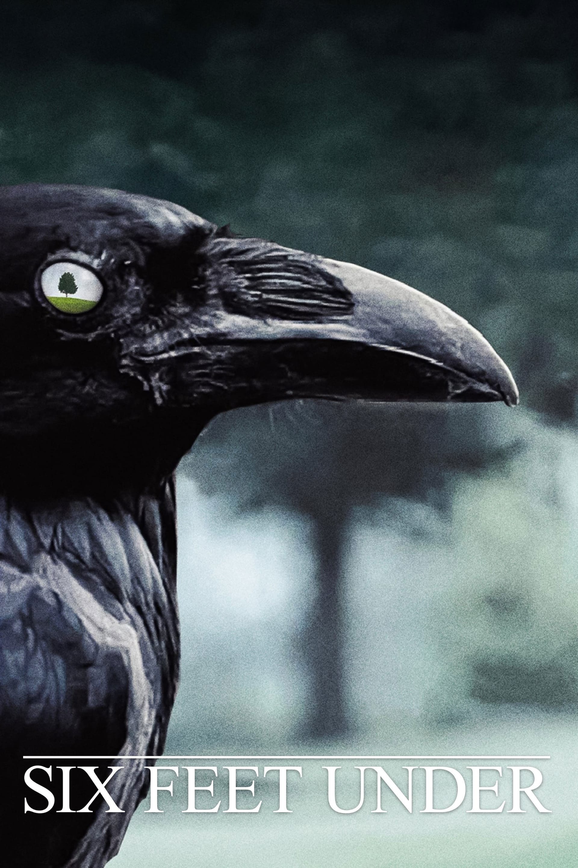 Six Feet Under (2004) Season Four ★★★★★