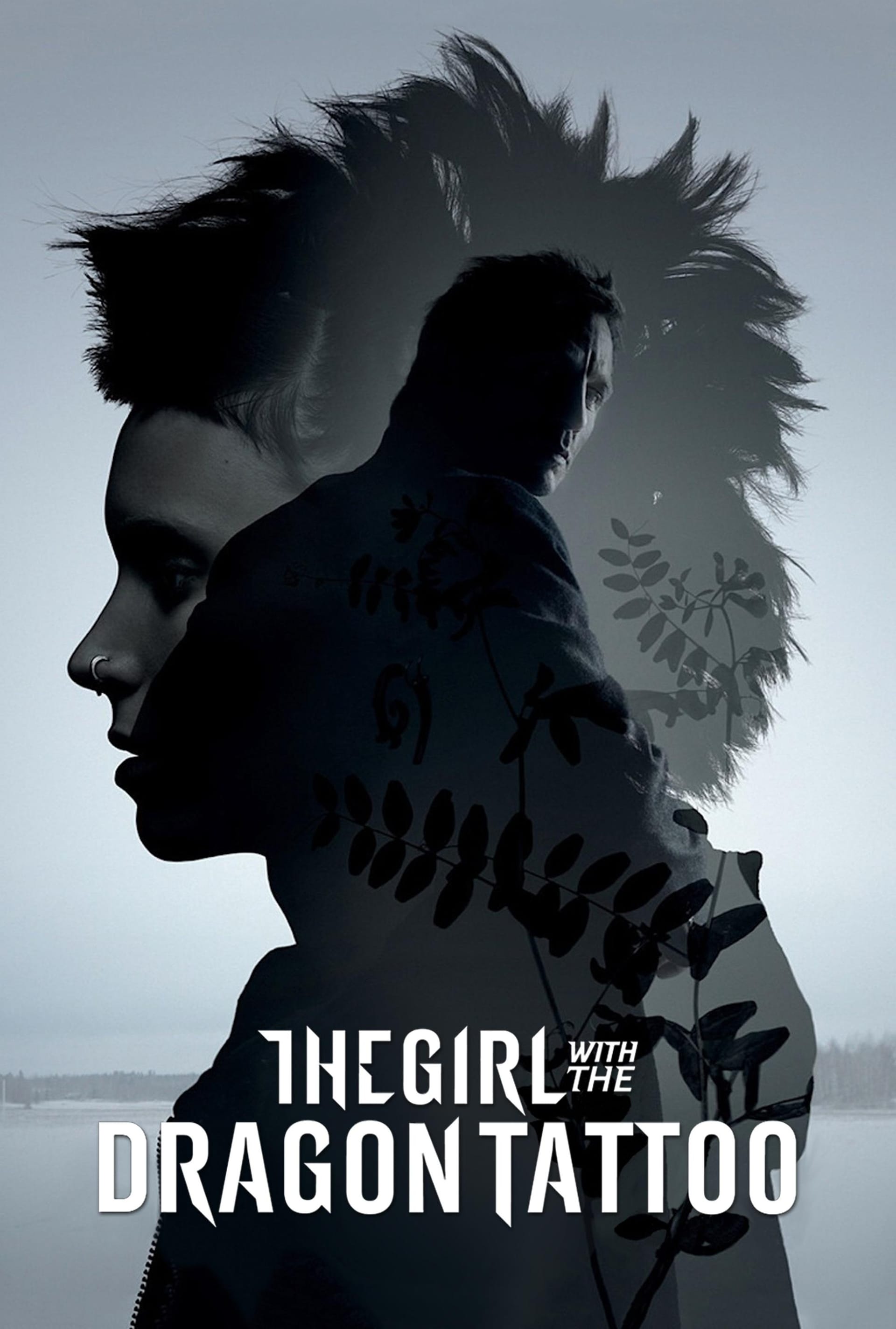 The Girl with the Dragon Tattoo, 2011 ★★★★☆