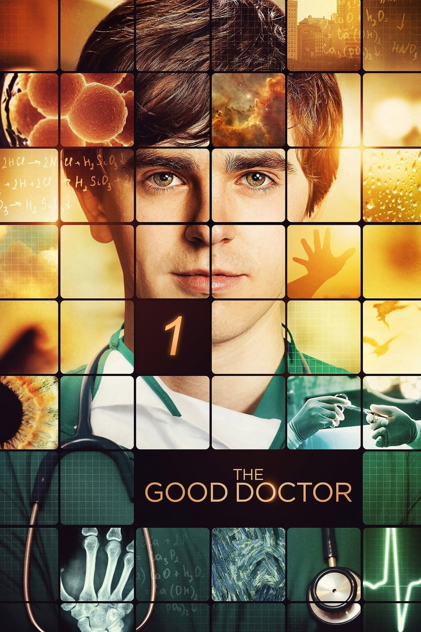 The Good Doctor (2017) Season One ★★★★★