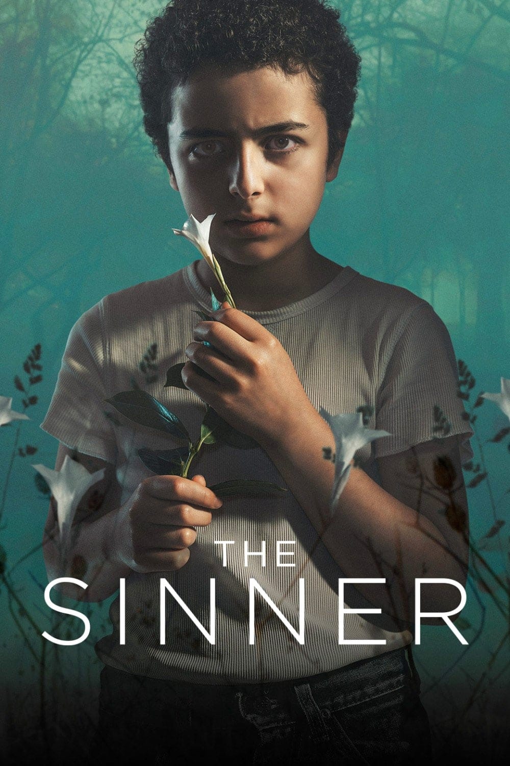 The Sinner (2018) Season Two ★★★★★