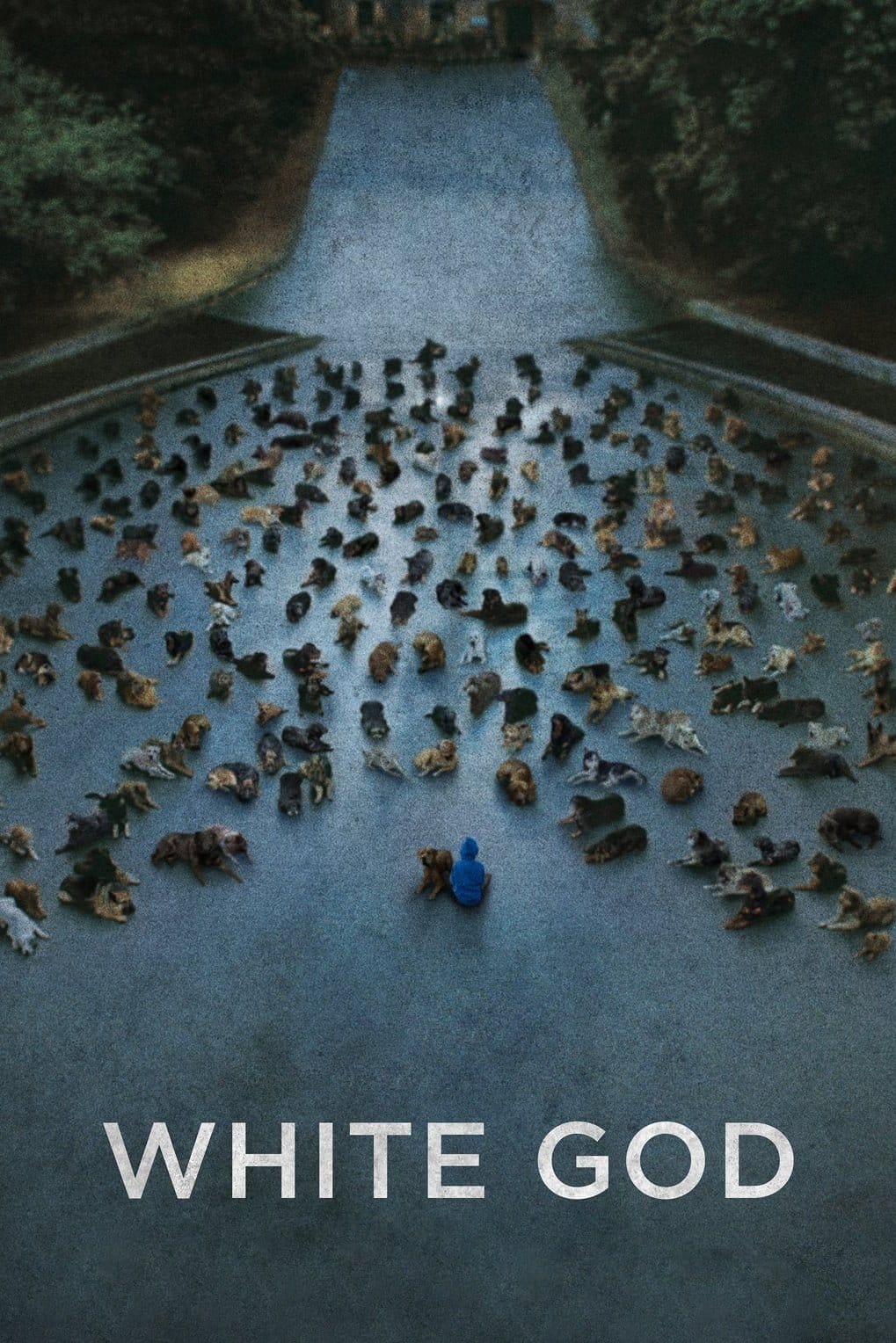 White God, 2014 ★★★★☆