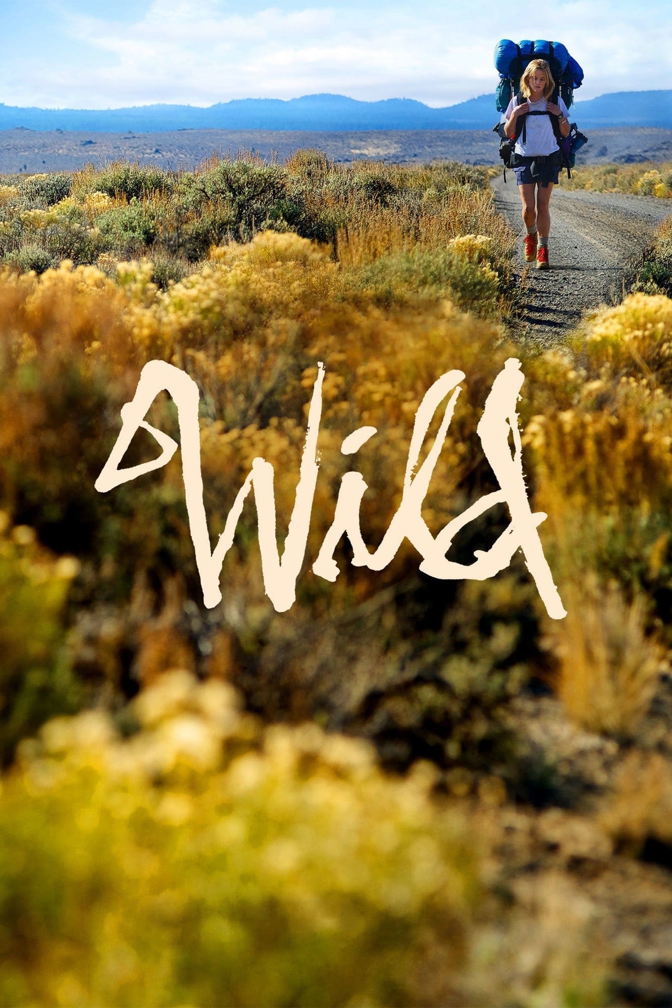 Wild, 2014 ★★★★☆