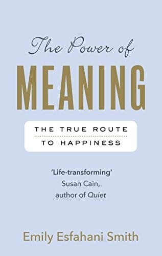 The Power of Meaning Crafting a Life That Matters cover