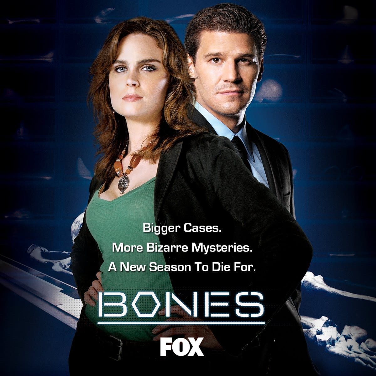 Bones (2006) Season Two ★★★☆☆