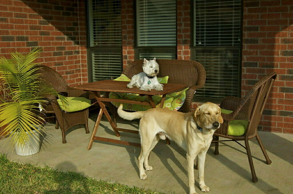 Lucy meets her match