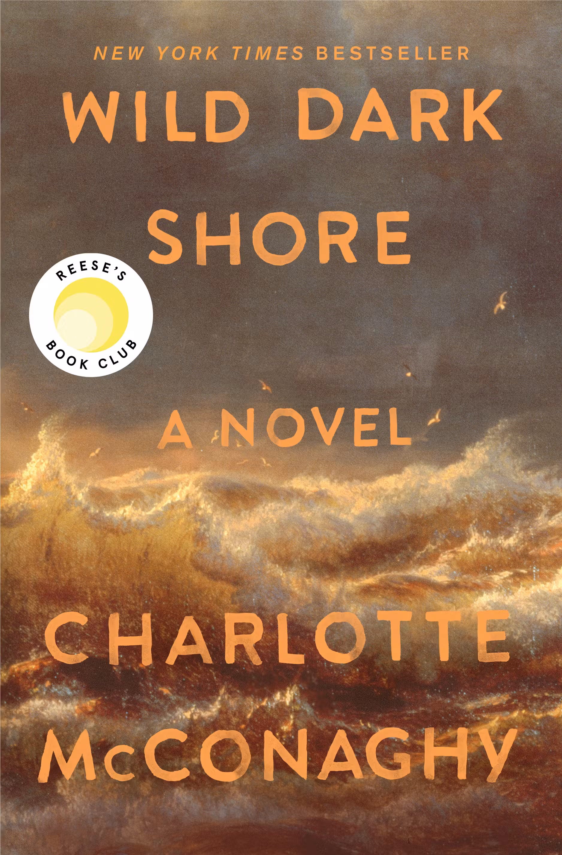 Wild Dark Shore ★★★★★