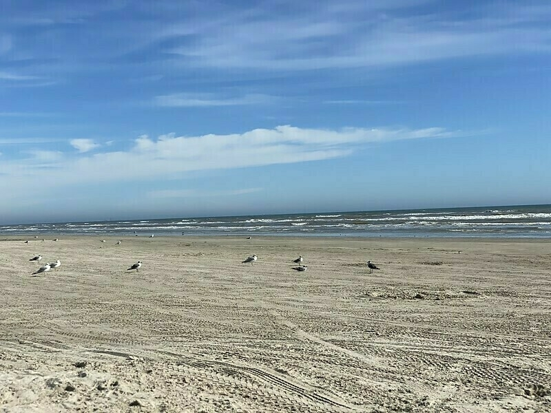 Chilling Out at Port Aransas