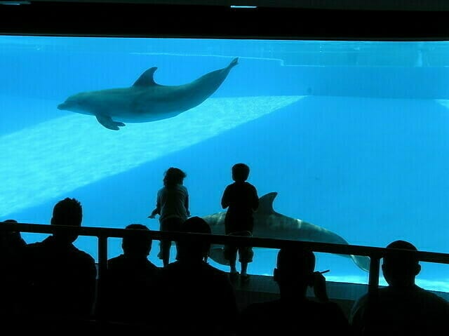 Trip to Corpus Christi