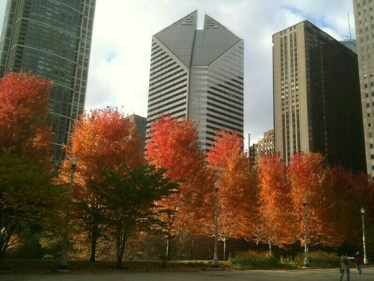 Chicago Times with Old Friends