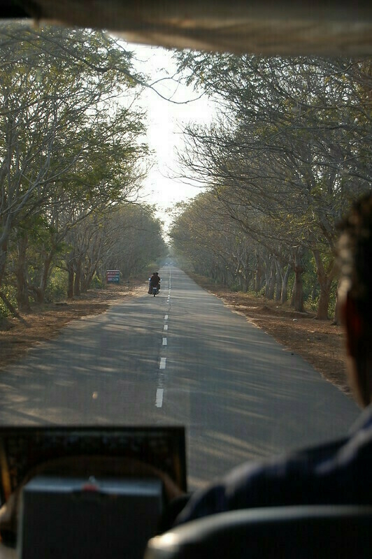 Wedding at Bhubhaneshwar - Part Eight