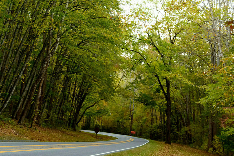 The Land of the Blue Smoke